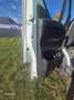 Iveco Daily 35 S 14 C 3000 2,3 HPT DPF Weiß - thumbnail 7