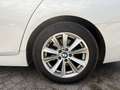 BMW 525 525d Touring, C.AUTOMATICO, GOMME 4 STAGIONI NUOVE Beige - thumbnail 16