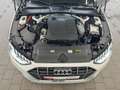 Audi A4 allroad A4 allroad quattro 40 TDI AHK LED Kamera virtual Weiß - thumbnail 19