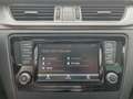 Skoda Rapid/Spaceback SB 1.0 TSI DSG Ambition PANO NAVI PDC RFK Blanco - thumbnail 30