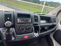 Fiat Ducato Pritsche Lang 35 L4H1 AHK Maxi Weiß - thumbnail 8