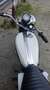 Triumph Trophy triumph trophy 250 TR25 White - thumbnail 5
