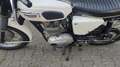 Triumph Trophy triumph trophy 250 TR25 White - thumbnail 4