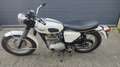Triumph Trophy triumph trophy 250 TR25 White - thumbnail 1