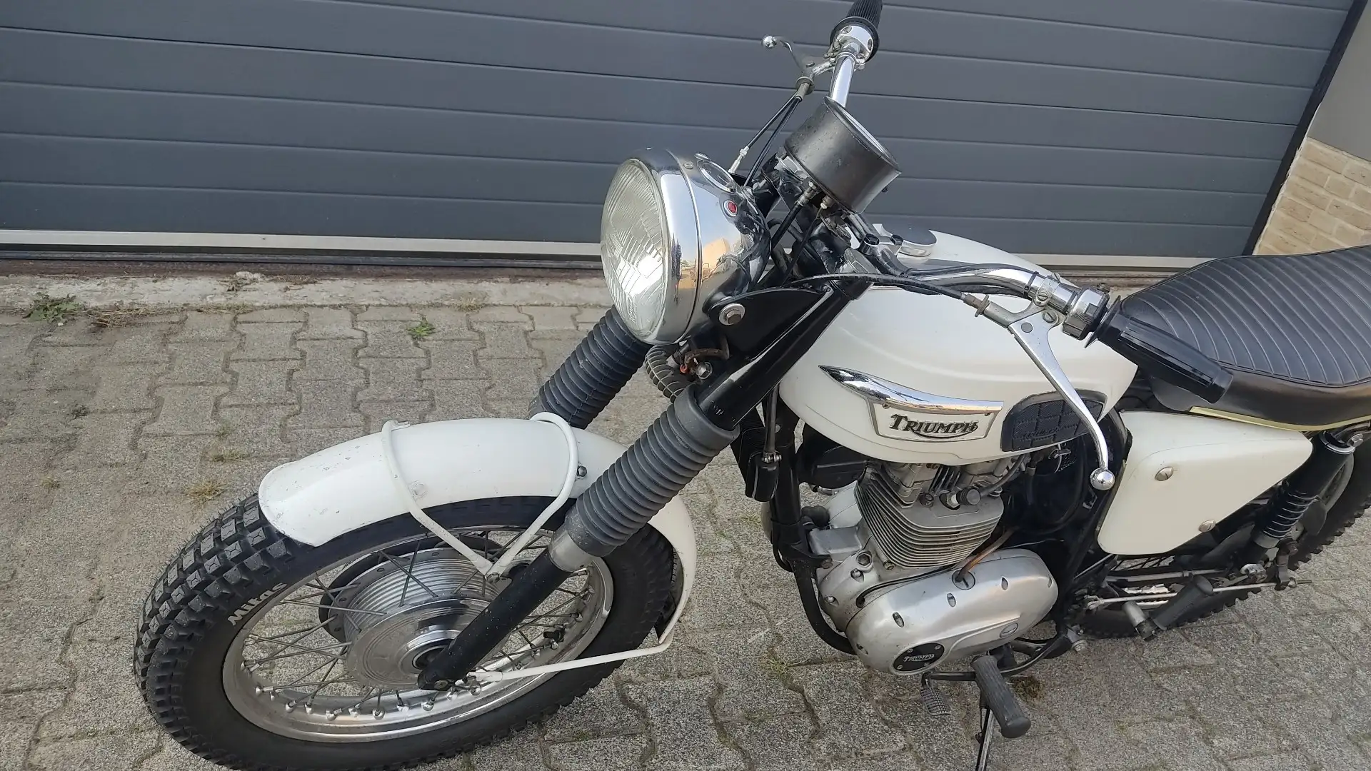Triumph Trophy triumph trophy 250 TR25 White - 2