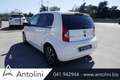 SEAT Mii 1.0 5 porte FR Sport Bianco - thumbnail 7