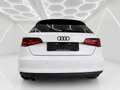 Audi A3 SB 1,2 TFSI Style -Neues Pickerl-Service Neu-Ge... Weiß - thumbnail 5