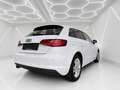 Audi A3 SB 1,2 TFSI Style -Neues Pickerl-Service Neu-Ge... Weiß - thumbnail 4