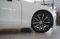 Volvo V60 Kombi  MOMENTUM PRO NAVI/LED/KAMERA/SHZ/DAB+ Bianco - thumbnail 5