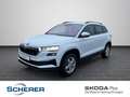 Skoda Karoq Ambition 1.5 TSI DSG AHK RFK SHZ pACC Weiß - thumbnail 1