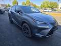 Lexus NX 300h Executive Hybrid Aut. Grau - thumbnail 4