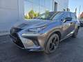 Lexus NX 300h Executive Hybrid Aut. Grau - thumbnail 1