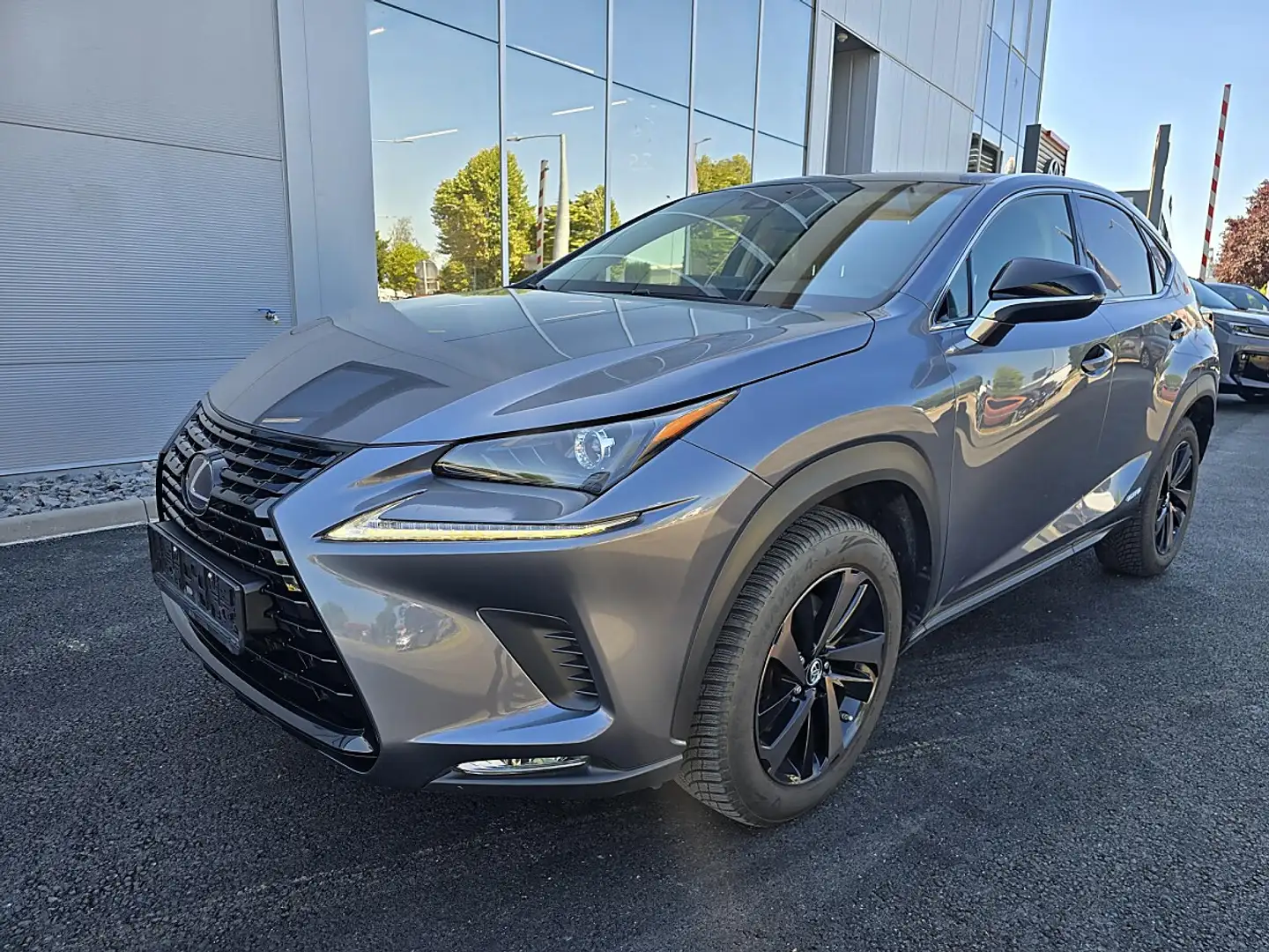 Lexus NX 300h Executive Hybrid Aut. Grau - 1