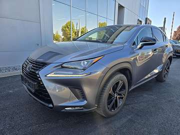 Executive Hybrid Aut.