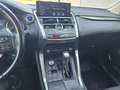 Lexus NX 300h Executive Hybrid Aut. Grau - thumbnail 8