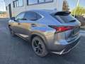 Lexus NX 300h Executive Hybrid Aut. Grau - thumbnail 2