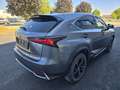Lexus NX 300h Executive Hybrid Aut. Grau - thumbnail 3