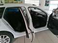 Skoda Kamiq Ambition TSI 115PS DSG Navi/AHZV/Parks v/h - thumbnail 19