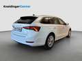Skoda Octavia 4x4 Style TDI DSG Weiß - thumbnail 5