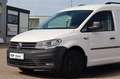 Volkswagen Caddy Nfz Maxi Kasten BMT Weiß - thumbnail 2