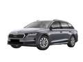 Skoda Octavia Combi Selection 150PS TDI DSG AHK+Kamera+GV4+AC... Grau - thumbnail 1