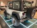 Jeep CJ-7 2400 d "LEGGI BENE!!!!" Blanco - thumbnail 6