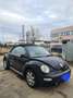 Volkswagen New Beetle Cabrio 1.9 tdi 100cv - thumbnail 1
