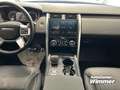 Land Rover Discovery D300 R-Dynamic HSE 7 Sitzer AHK Panorama Schwarz - thumbnail 11