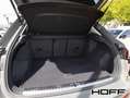 Audi Q3 35 TFSI advanced 19Zoll SH Privacy AHK APP Grau - thumbnail 12