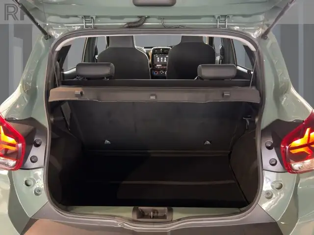 Dacia Spring view 18