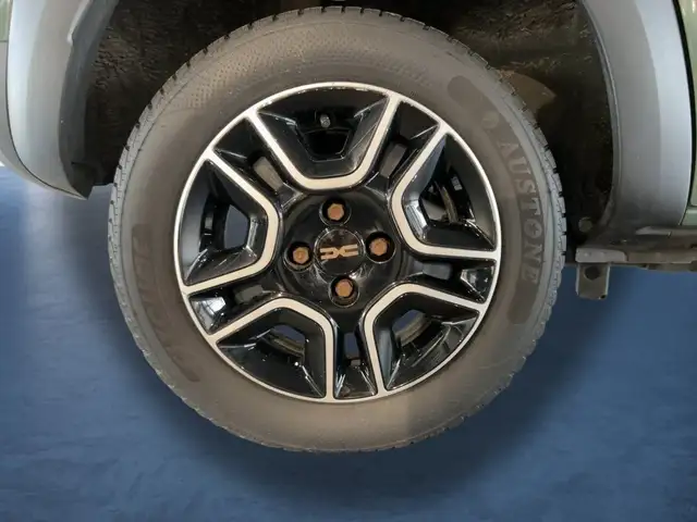 Dacia Spring view 19