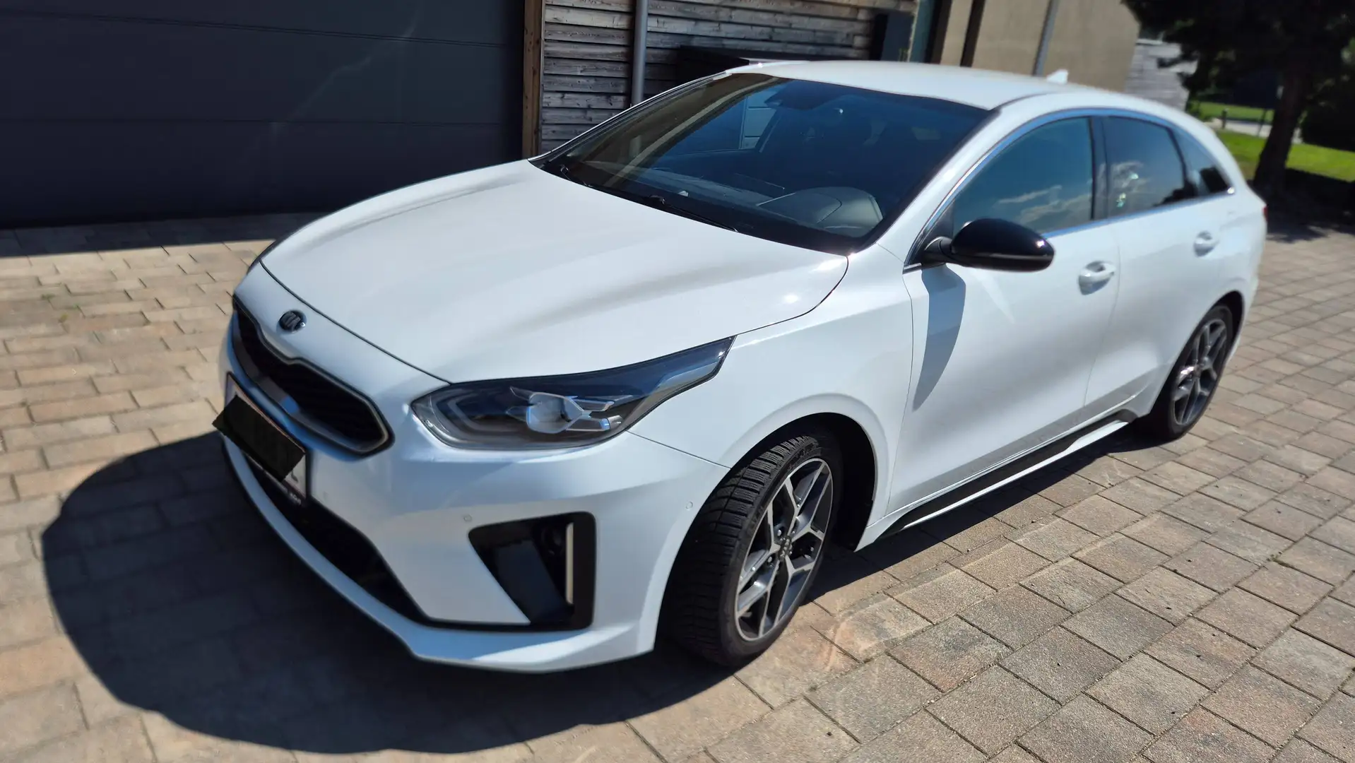 Kia ProCeed / pro_cee'd GT Line1,5 TGDI 4 (Mildhybrid) Weiß - 1