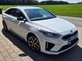 Kia ProCeed / pro_cee'd GT Line1,5 TGDI 4 (Mildhybrid) Weiß - thumbnail 6