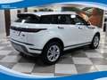 Land Rover Range Rover Evoque 2.0 D150 AWD S AUT EU6 Bianco - thumbnail 2
