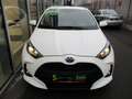 Toyota Yaris 1.5 VVT-i Hybrid Active Drive Weiß - thumbnail 3