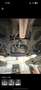 Renault Clio Expression 1,2 16V - thumbnail 7