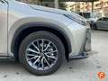 Lexus NX 350h Luxury 4WD Amarillo - thumbnail 18