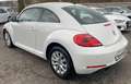 Volkswagen Beetle 1.2 TSI Design Navi-PDC-SHZ-FSE-GRA Klima Weiß - thumbnail 2