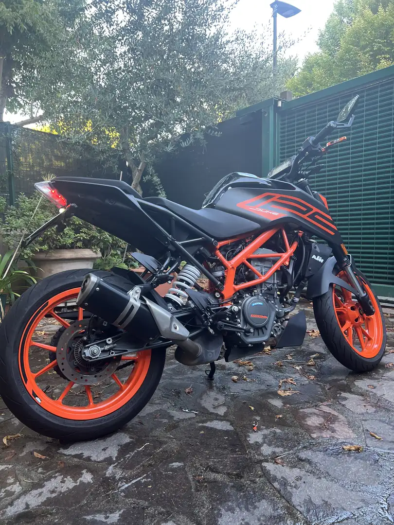 KTM 125 Duke - 1
