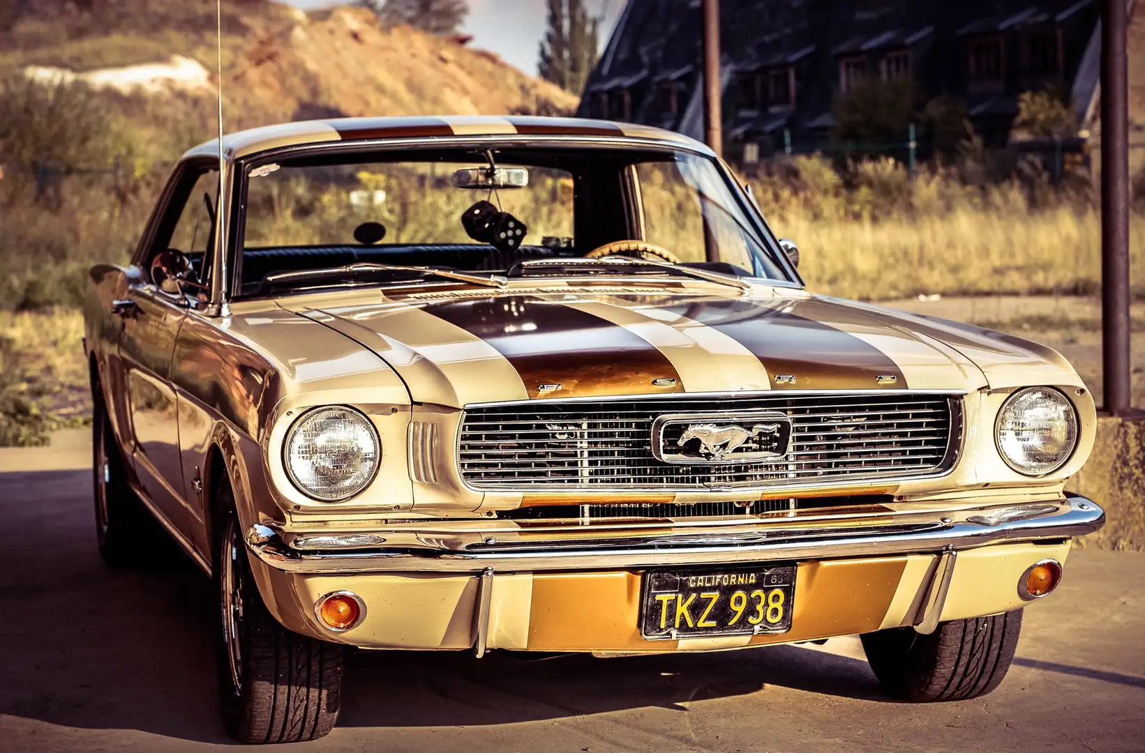Ford Mustang Coupé bež - 1