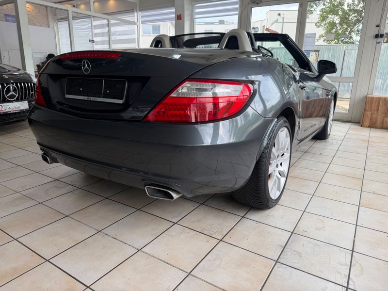 Mercedes-Benz SLK 250 SLK Roadster SLK 250 CDI BlueEfficiency — photo 10