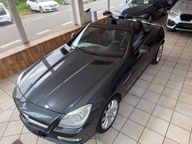 Mercedes-Benz SLK 250 SLK Roadster SLK 250 CDI BlueEfficiency