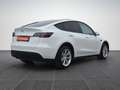 Tesla Model Y Max. Reichw. AWD *AHV*Auto.P*GARANTIE* Blanc - thumbnail 5