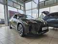 Lexus UX 300h F Sport Design ACC+LED+Navi+SHZ+LM Grün - thumbnail 2