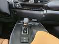 Lexus UX 300h F Sport Design ACC+LED+Navi+SHZ+LM Grün - thumbnail 24