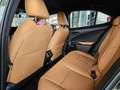 Lexus UX 300h F Sport Design ACC+LED+Navi+SHZ+LM Grün - thumbnail 16