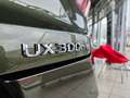 Lexus UX 300h F Sport Design ACC+LED+Navi+SHZ+LM Grün - thumbnail 12