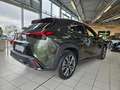 Lexus UX 300h F Sport Design ACC+LED+Navi+SHZ+LM Grün - thumbnail 7