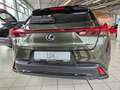 Lexus UX 300h F Sport Design ACC+LED+Navi+SHZ+LM Grün - thumbnail 8