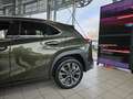 Lexus UX 300h F Sport Design ACC+LED+Navi+SHZ+LM Grün - thumbnail 13